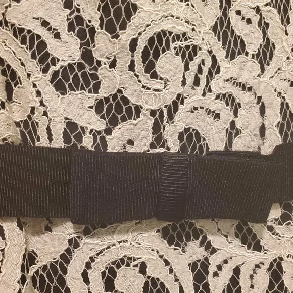 Elegant Tadashi Shoji Formal Illusion Lace Two-Tone Cream Black Gown W/ … - Picture 3 of 13